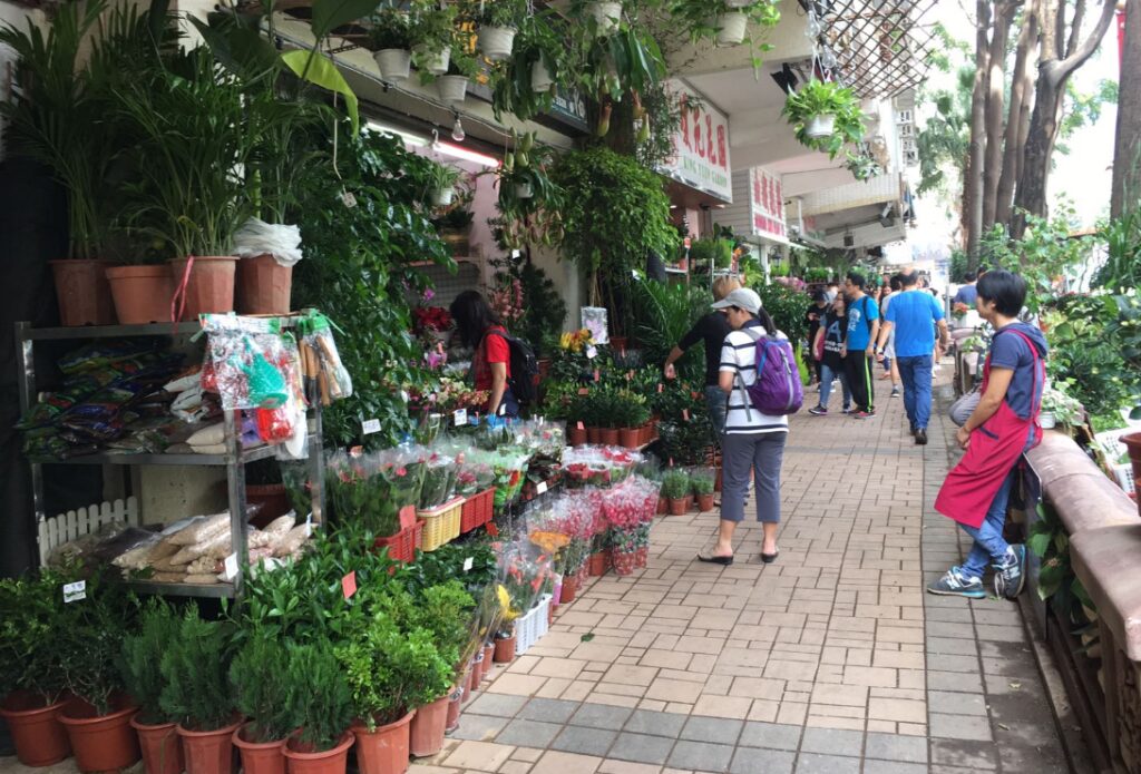 香港「フラワーマーケット」(花墟道)