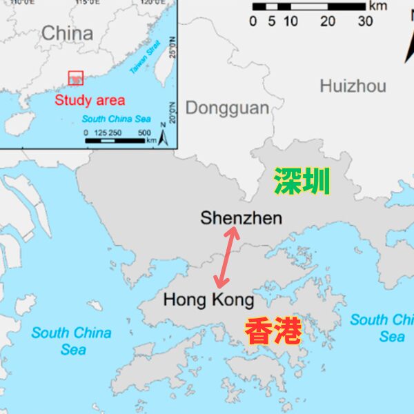 香港と深圳(シンセン)は目と鼻の先