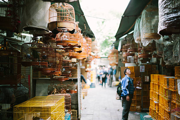 Hong Kong, Сhina - November 10, 2014: Song birds, caged, for sale. Yuen Po Street Bird Garden, Mong Kok, Hong Kong