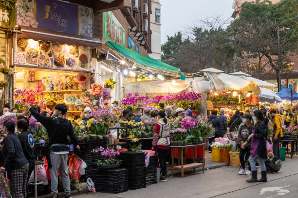 Hong Kong - January 17, 2022 : People shop for flowers at Mong Kok Flower Market ahead of the Chinese New Year, the Year of the Tiger, in Mong Kok, Kowloon, Hong Kong.