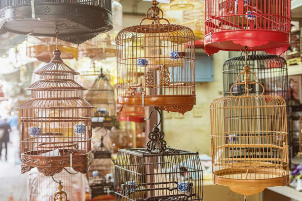Typical Bird Cages at Hong Kong Bird Market, known as Yuen Po Bird Garden. Selective Focus.  Yuen Po Street Bird Garden, Mong Kok, Kowloon, Hong Kong, Asia.